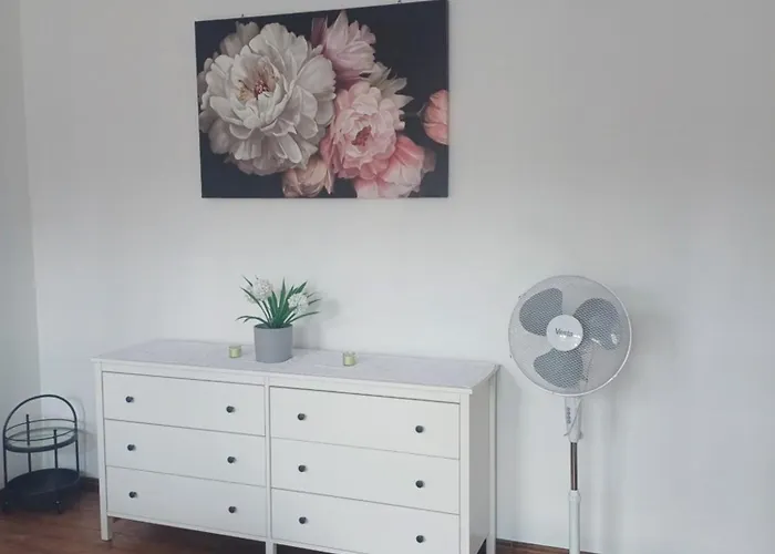 Zacisze Pod Nikiszem קטוביץ