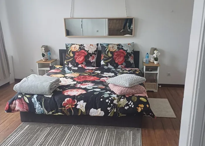 Zacisze Pod Nikiszem Apartment