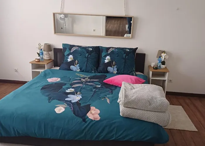 Zacisze Pod Nikiszem Apartment *