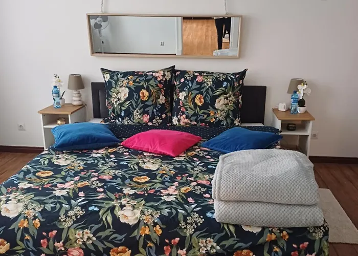 Zacisze Pod Nikiszem Daire Katoviçe